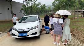 Tourists use jack to rescue alpaca trapped under car in Chinese zoo