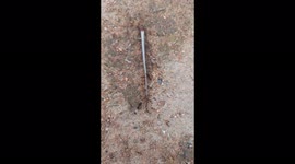 ANT TEAMWORK / POWER OF TEAMWORK / BEST EXAMPLE OF TEAMWORK