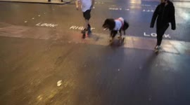 Dog With England Flag Out And About After The Match