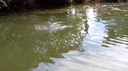 temp