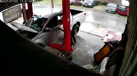 Cheeky snake shocks mechanic when it slithered inside workshop to shelter from rain