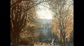 Golden Light Makes People In the Park Look Like an Impressionist Painting