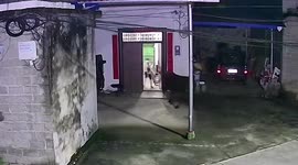 Mother saves son from being rammed by wild bull