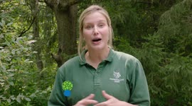 Five Really Cool Facts You Never Knew About Moose... Meese? Mooses?