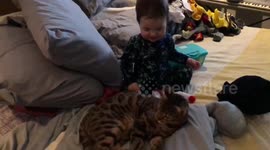 Baby Boy plays gently with his sister Ella the Bengal Cat for the first time