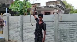 Monkey in South India loves to have fun time with its human buddy.