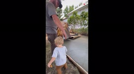 'NEVER Pour Concrete with a Toddler Around'