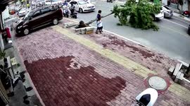 Two children avoid being hit by falling tree in eastern China