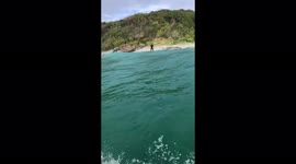 'Hydrofoiling at Granite Bay | Surfing at Noosa'