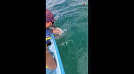 Tour guide ecstatic following close-up encounter with curious whale near Mexico