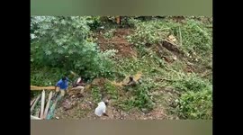 A Cheetah in South India charges the forest staff when they tried to capture it.