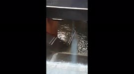 Germany: Relentless Rains Flood Roads, Wash Away Vehicles In Western Region 5