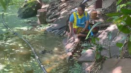 Elderly woman feeds sticky rice to crocodiles while sitting beside pond at temple