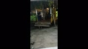 temp