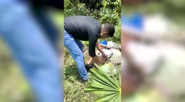 Illicit alcohol gets destroyed in southern India