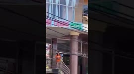 ĐUỔI KHÔNG ĐI, ĐÀN KHỈ ĐẠI NÁO KHU DÂN CƯ Ở VŨNG TÀU