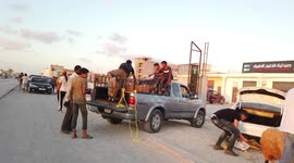 Crisis-hit Libya faces lean Eid as livestock prices spiral in Benghazi