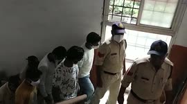 13 arrested for smuggling rare turtle species, pangolin scales in central India