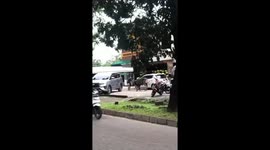 Cow Hits Motorcycle Rider On Highway In Serpong Indonesia