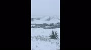 temp