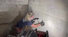 Dramatic moment US firefighters smash through wall to rescue dog trapped for FIVE DAYS