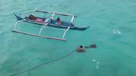 Baby turtle rescue after being found tangled in fishing net in the Philippines