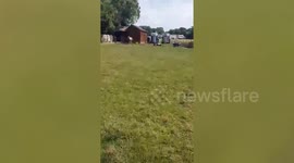 Snoozy horse naps SO MUCH her owner often has to check daily to make sure she hasn't died