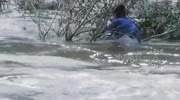 temp
