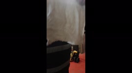 Scaring Sam again it's to easy lol