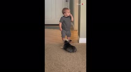 'When Bae Doesn't Pay Attention to You | Adorable Pup gets Ignored by Toddler '