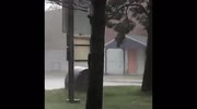 temp