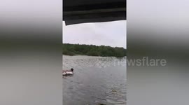 Kind fisherman saves drowning dog with raft made from trash during typhoon In-fa in the Philippines