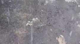 Typhoon Nepartak batters Japan bringing heavy rain and floods