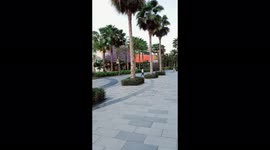 Dubai island park . This video from mobile camera . And the park is in middle and surfing of water.