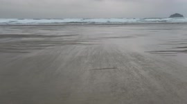 Storm Evert seaside winds at low tide on a deserted beach in Polzeath, Cornwall