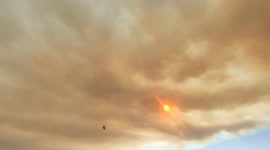 Forest Fire In Osmaniye, Turkey