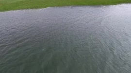 Flooding in my horses grazing field Northwest Scotland UK Grass