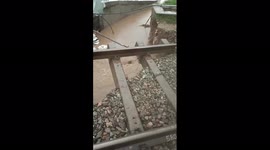 Train not arrival in this movement Help railway department by us