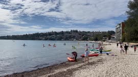Police fine Kayak hire on Rose Bay Beach during COVID-19 Lockdown