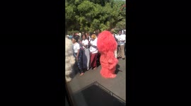 Africa/Gambian kankurang