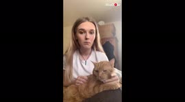 'Grumpy Cat Gives Owner Free Nose Piercing *Ouch*'