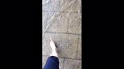 temp