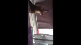 Attention canicule!!!