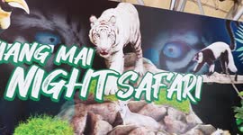 Adorable endangered baby monkey born at safari park in northern Thailand