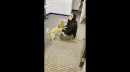 Emotional moment US woman is reunited with her missing dog after TWENTY days