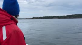 Dad captures moment minke whales breaches surface off New Brunswick
