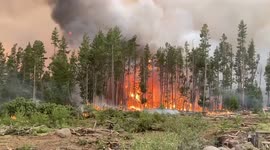 Flames rip through forest during Bootleg Fire in Oregon