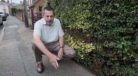 UK gardener devastated after workmen leave 23-feet scorch mark along his century-old hedge