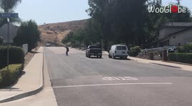 'Newest Addition to the Hall of Meat: Juno | Gnarly Hill Bomb Slam'