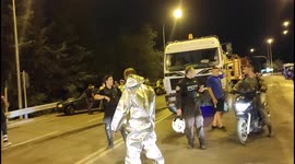 Firefighter Returns Rescued Dogs To Their Owners During The Fire In Athens, Greece